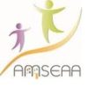 AMSEAA logo